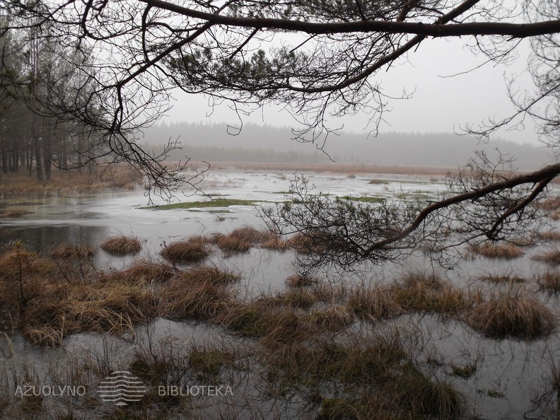 DSCF9641.JPG