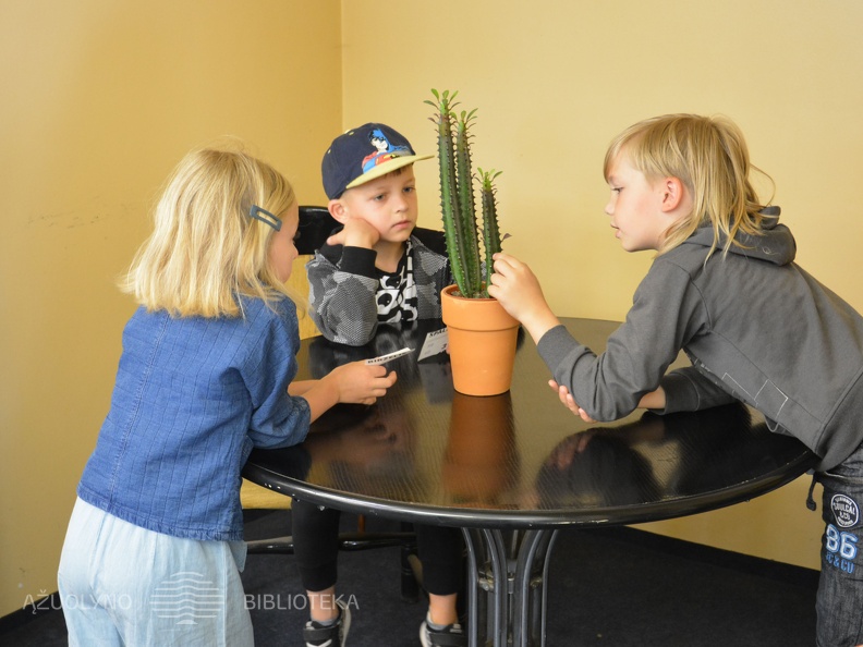 Skaitymai „Pražydęs kaktusas“ floristikos salone „Ryto rasa“