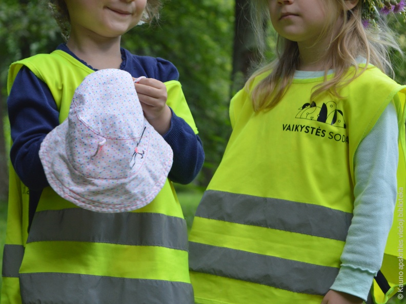 Skaitymai „Pievos pasaka“ Ąžuolyno parke
